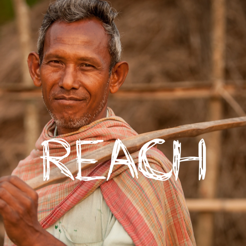 reach-2026-quadrat_web